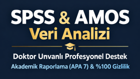 SPSS ve AMOS ile veri analizi ve raporlama yaparım