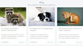 Blog Yazılarım