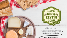 Alhan Zeytincilik Post Çalışmamız