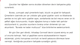 profesyonel Türkçe İngilizce çeviri yaparım