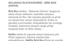 Gerçek İş örneğim