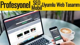 size anahtar teslim wordpress sitesi kurabilirim