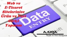 ürün ve veri girişi yaparım
