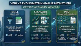 veri tercümanlığı yaparım