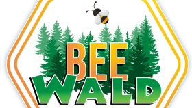 Beewald Logo Tasarımı