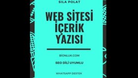 Web Sitesi İçeriği Yazıyorum