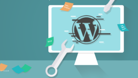 wordpress destek