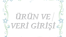 veri girişlerinizi yapabilirim