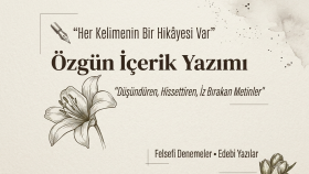 özgün felsefi denemeler ve edebi metinler yazabilirim