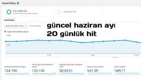 agrisinaiyigelen.com site hiti analytics görseli 