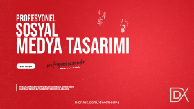 profesyonel sosyal medya tasarımı yapabilirim