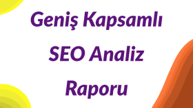 SEO Analiz Raporu