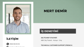 Örnek CV Tasarımı