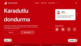 E-ticaret web site