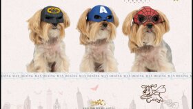 Max Design Köpek Maskeleri ve Anahtarlıkları