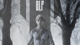 The Last Elf