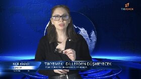 Greenbox çalışması