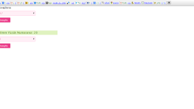 Web Yazılım