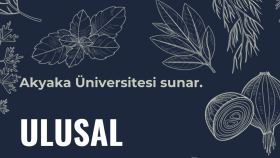 kurumsal katalog ve broşür tasarımı yapıyorum