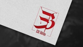 ben kurumunuzu yansıtan logo tasarlarım