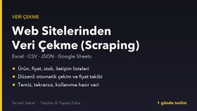 web sitelerinden veri çeker ve Excel olarak teslim ederim