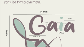 logo tasarımı ve marka kimliği kılavuzu sağlayabilirim