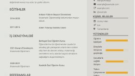 Göz Alıcı Cv Tasarımları 