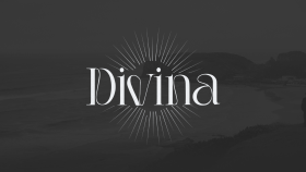 Divina – Konsept Parfüm Markası