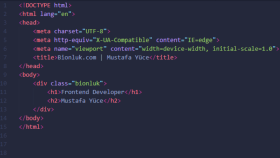 sitenizin seo responsive uyumlu frontend kodlamasını yaparım