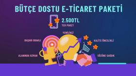 profesyonel e-ticaret sitenizi 1 günde hazırlar ve kurarım