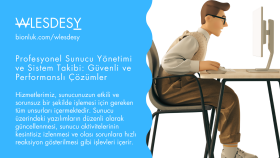 sunucu yönetimini ve sistem takibini sağlayabilirim