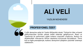 Bir Mühendis için Modern ve Profesyonel CV Tasarımı