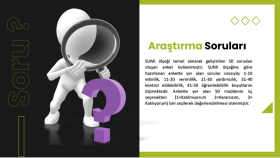 Power point sunuları