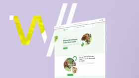 profesyonel web sitesi yaparım
