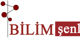 İş örneğim