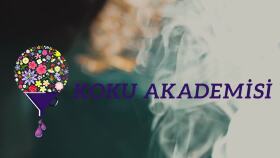 Koku Akademisi