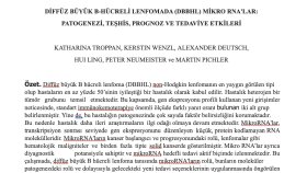Medikal Makale Çevirisi