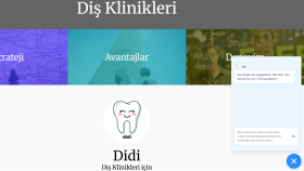 Didi - Diş Klinikleri için Web Sitesi Destek Asistanı