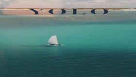 YOLO Zanzibar Adventure & Wellness Reel