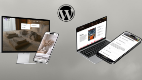 Profesyonel WordPress Geliştirici & Bilgisayar Mühendisi