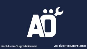 Oto Bakım ve Servis Logosu