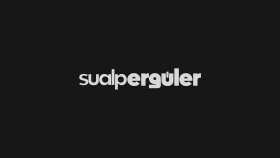 Sualp Ergüler - Logo