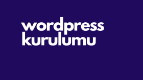 Wordpress temanızı kurabilir, sitenizi düzenleyebilirim