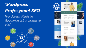wordpress sitenize profesyonel SEO uygulaması yapıyorum