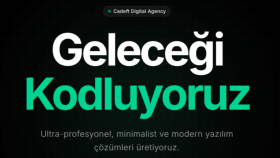 Web sitesi yapıyorum