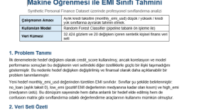 Python ile makine öğrenmesi projeleri yaparım