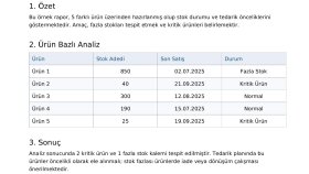 stok verilerinizi excel ile analiz edip raporlarım
