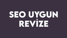 yazınızı revize edebilirim