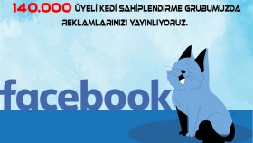 133 Bin üyeli facebook kedi grubunda ilanınızı yayınlarım