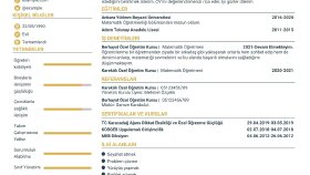 Göz Alıcı Cv Tasarımları 
